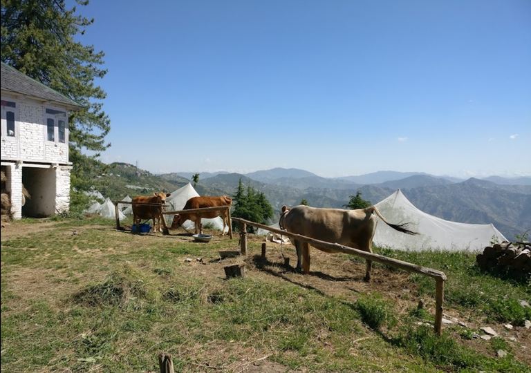 Aastha Homestay :: image #38