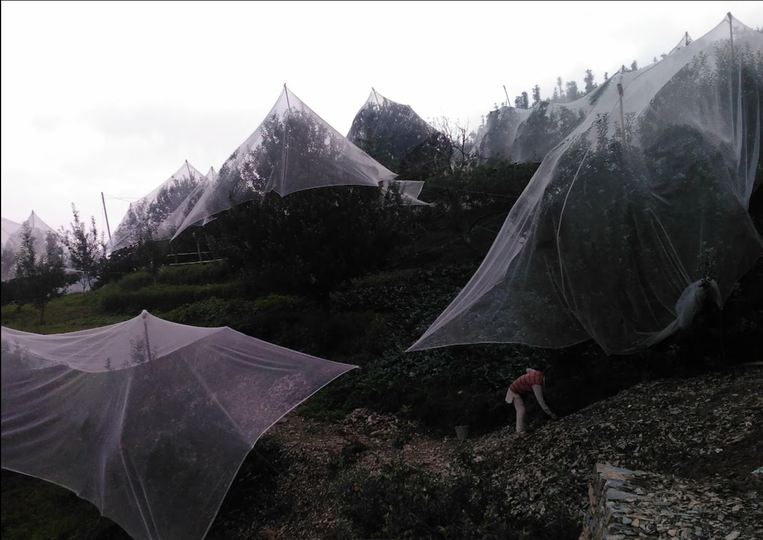 Aastha Homestay :: image #44