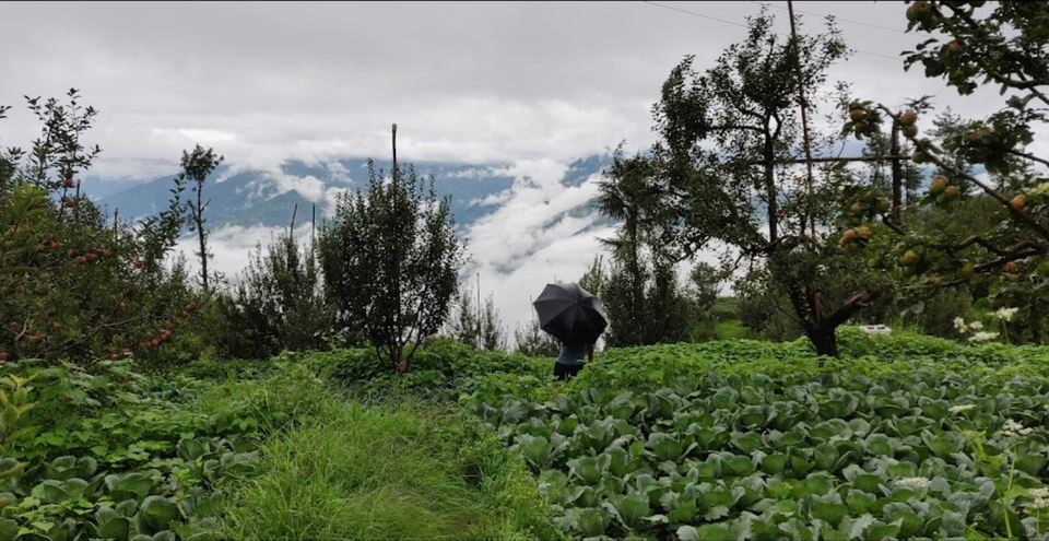 Aastha Homestay :: image #53