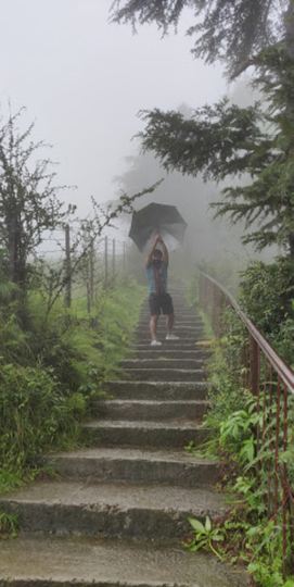 Aastha Homestay :: image #81
