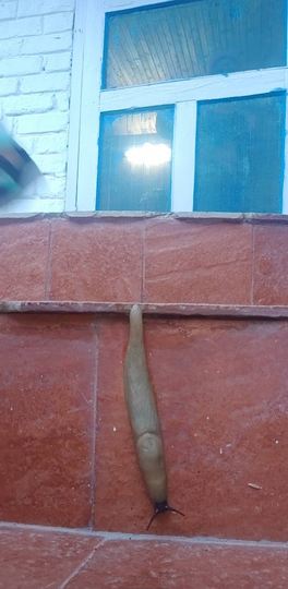 Aastha Homestay :: image #109